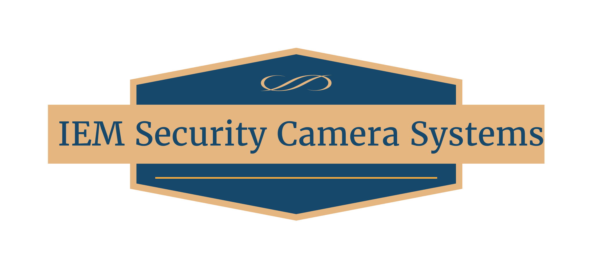 IEM Security Camera Systems